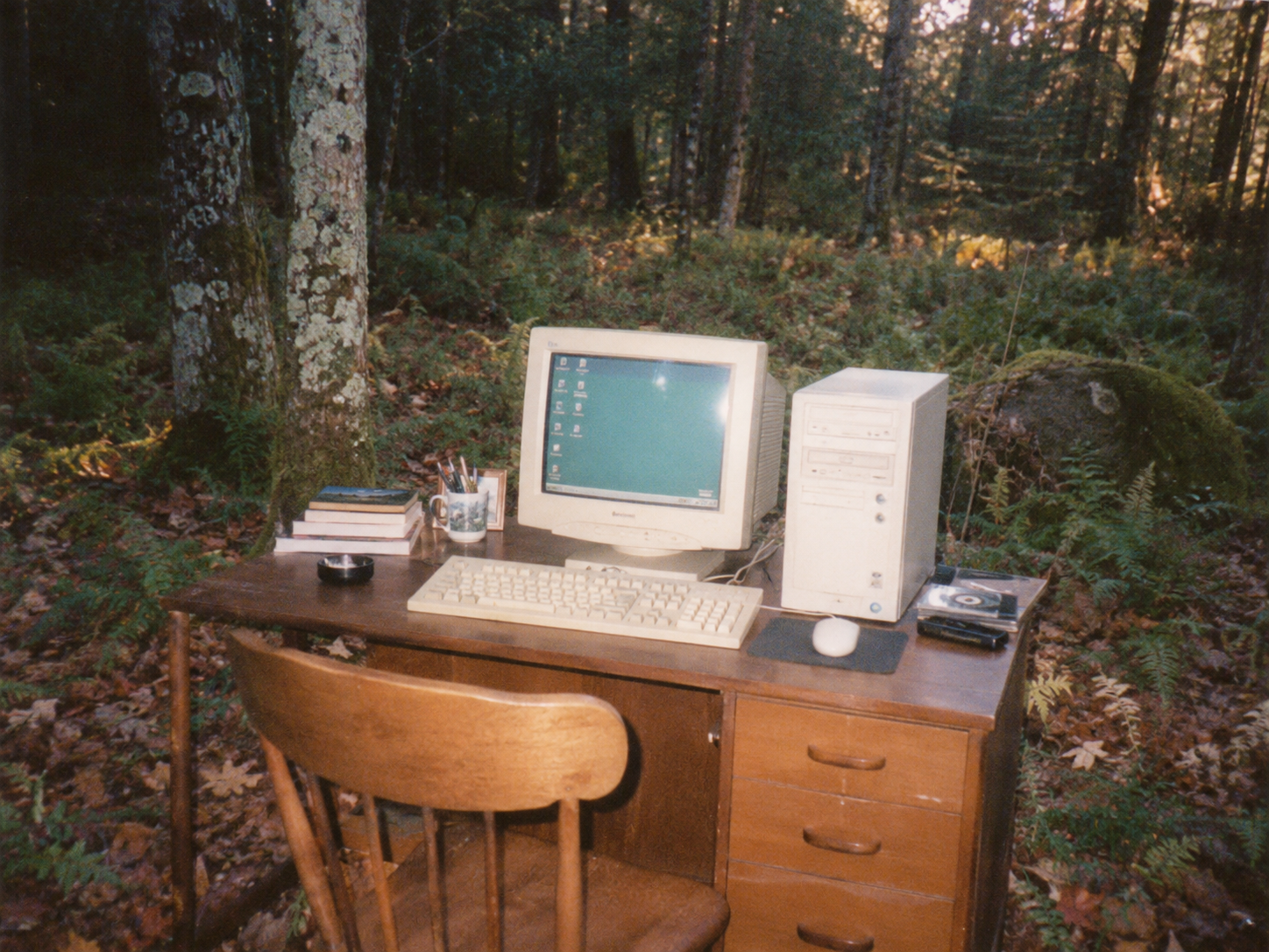 Vintage 1990s desktop computer and CRT monitor running on a wooden desk in a forest clearing, surrounded by moss-covered trees, ferns, and fallen leaves.